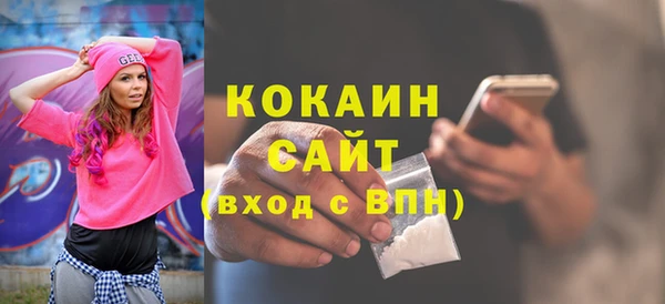 гидропоника Дмитриев