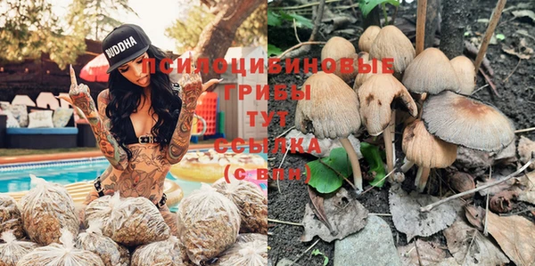 гидропоника Дмитриев