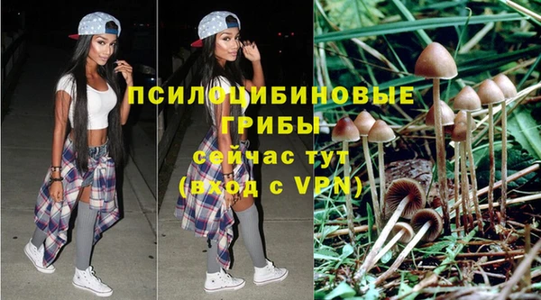 гидропоника Дмитриев