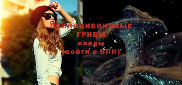 спайс Дмитровск