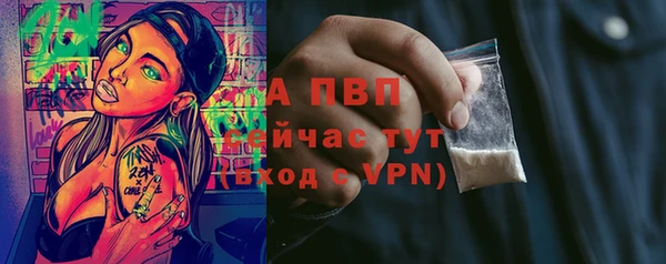 гидропоника Дмитриев