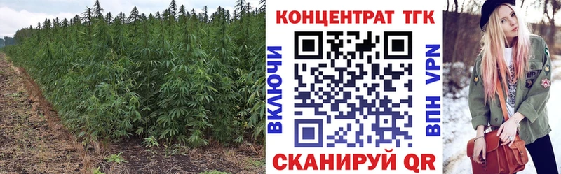 Купить  Шлиссельбург  Дистиллят ТГК THC oil 