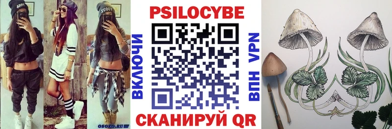 Псилоцибиновые грибы Cubensis Шлиссельбург